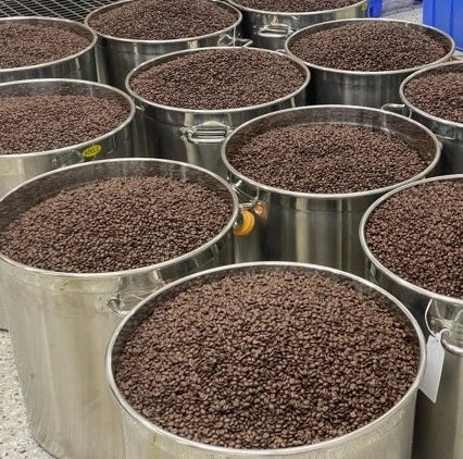 Yunnan Coffee Processing