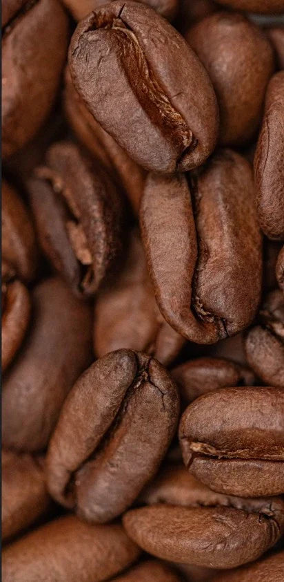 Yunnan Coffee News: The Bio-Tech and Micro-Lot Renaissance