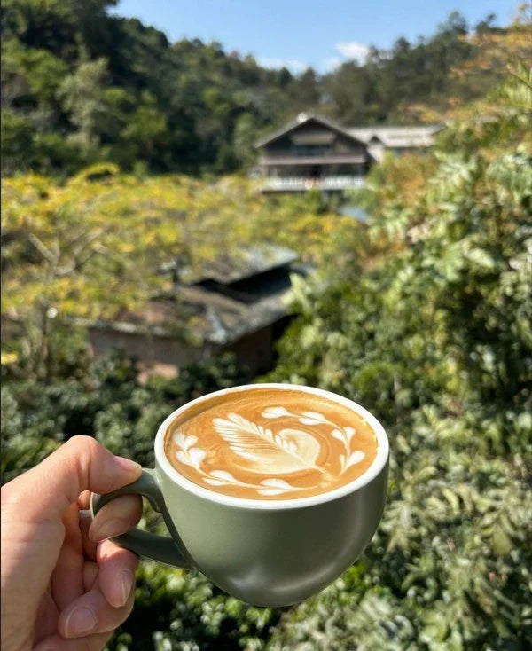 90+ Yunnan Coffee